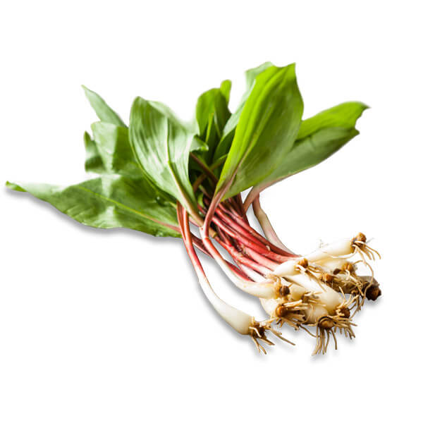 Ramps